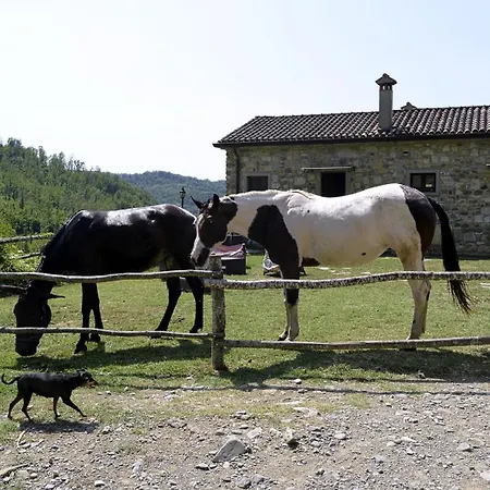 Le Chianine Dei Tognoli Farmház