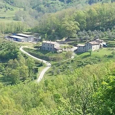 Le Chianine Dei Tognoli Gragnola