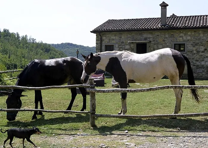 Le Chianine Dei Tognoli Feriegård
